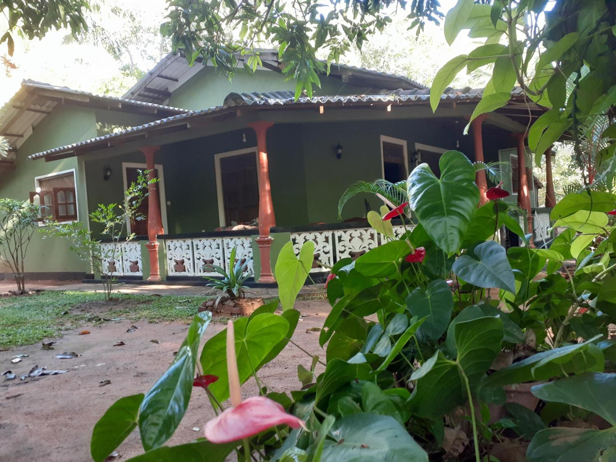 Green Bamboo House Сигирия Экстерьер фото