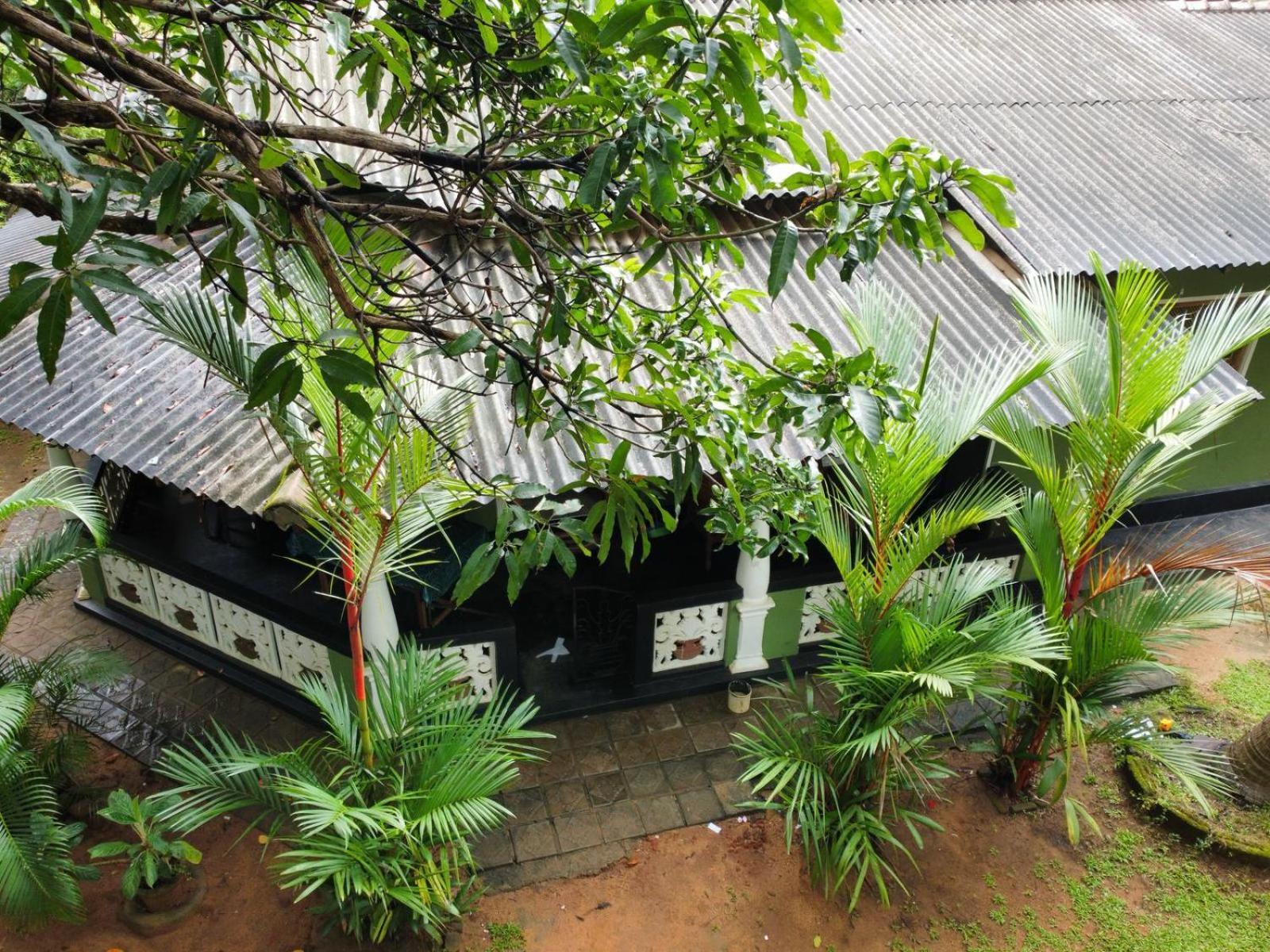 Green Bamboo House Сигирия Экстерьер фото