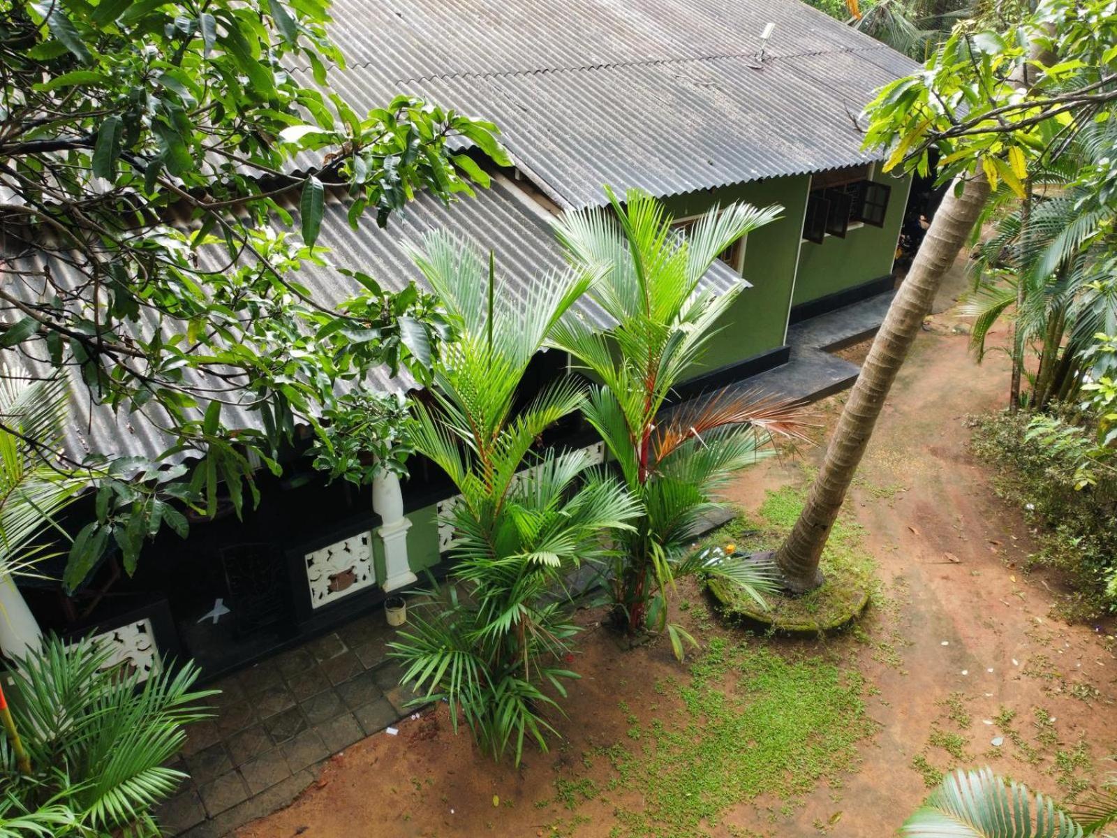 Green Bamboo House Сигирия Экстерьер фото