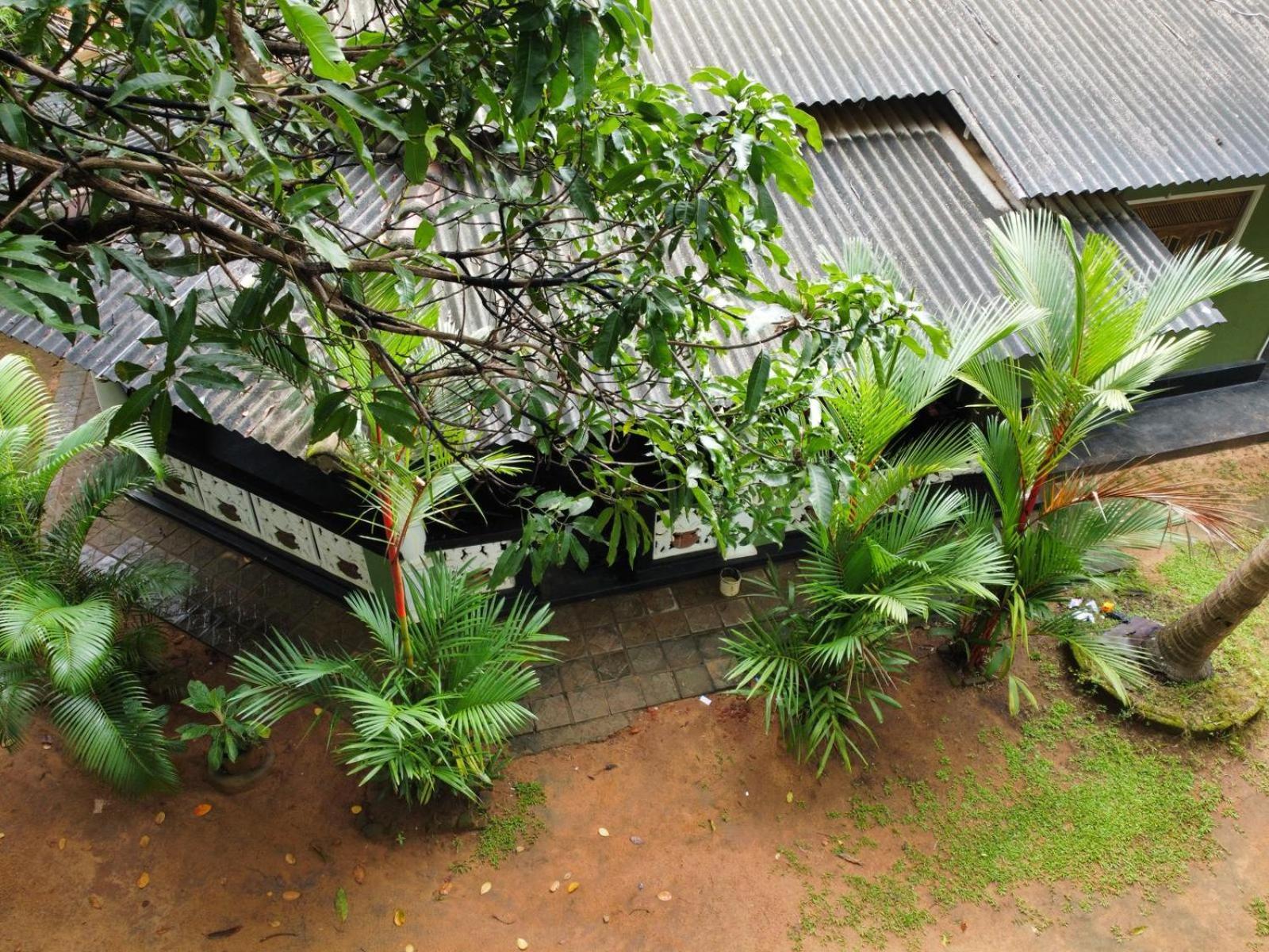 Green Bamboo House Сигирия Экстерьер фото